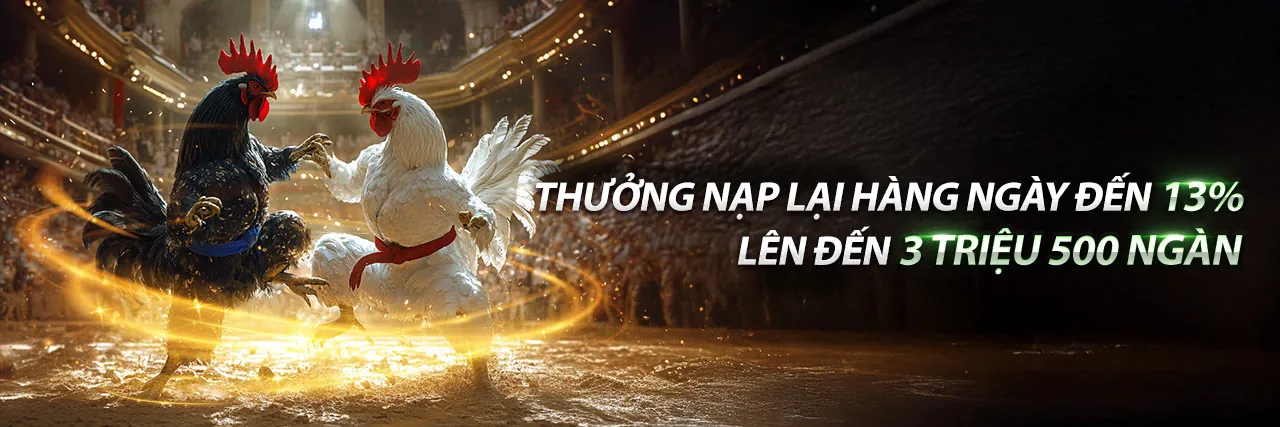 Hướng dẫn người chơi mới tại P3 nhà cái uy tín