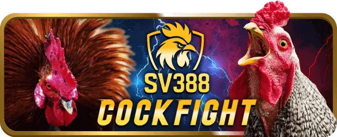 Trò chơi Đá Gà p3 nhà cái uy tín
